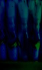 Picture for song 'Dog' by artist 'Days of Triumph'