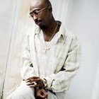 Picture for song 'first night in heaven.MP3 tagless lease $19.95' by artist 'db koopa'