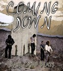 Picture for song 'Coming Down' by artist 'Dee Eagle (beatz)'