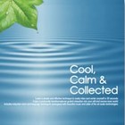 Picture for song 'Cool Calm &Collected' by artist 'Deep North'