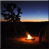 Picture for song 'Get Together' by artist 'Desert Hermit'