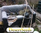 Picture for song '005_Far From You_DesertSeeds_CCYM_SC09' by artist 'Desert Seeds'