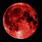 Picture for song 'Blood Moon Eclipse' by artist 'Destructed'