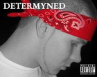 Picture for song 'Trendsetta' by artist 'Determyned'