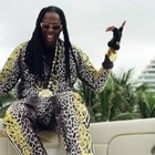 Picture for song '*BANGER* Out Here' by artist 'D-Fresh Beatz'