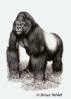 Picture for song 'Le Primate' by artist 'Diaz-Hells'
