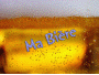 cover pic