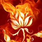 Picture for song 'Bit Crush (demo)' by artist 'dj Fire Flower'