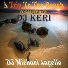 Picture for song 'A Trip To The Beach feat DJ Keri' by artist 'DJ Michael Angello'