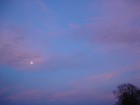 Picture for song 'Quarter moon' by artist 'don't believe you'