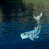 Picture for song 'Song of a White Whale' by artist 'Donya Quick'