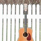 Picture for song 'Another Love Song' by artist 'Doug McClure'