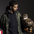 Picture for song 'Owls (FREE D/L)' by artist 'Downtown Music'