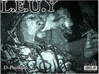 Picture for song 'L.E.U.Y' by artist 'D-Phunk 420'
