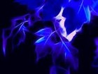 Picture for song 'AUTUMN BLUES - Electric Guitar Solo' by artist 'Dr. Bob's Jazz - Benefit Boppin' Quartet - JBBQ'