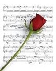 Picture for song 'ROSE SONGS OF LOVE' by artist 'Dr. Bob's Jazz - Benefit Boppin' Quartet - JBBQ'
