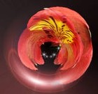 Picture for song 'WHEN THE MAGIC BEGAN' by artist 'Dr. Bob's Jazz - Benefit Boppin' Quartet - JBBQ'