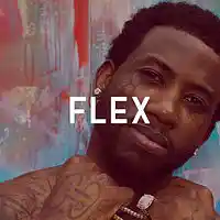 Picture for song 'Flex (Zaytoven & Gucci Style) ' by artist 'Dreamnation Productionz'