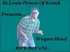 Picture for song 'WaYne-HeAd Ft. YuNg SamS Pick'Em Up' by artist 'DuFFle BaG BoYz'