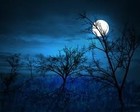 Picture for song 'Midnight **Dark Beat**' by artist 'Dutchman Music'