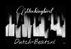 Picture for song 'Mockingbird *Free Download*' by artist 'Dutchman Music'