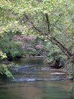 Picture for song 'For You' by artist 'Eddie Lee and the Brown Rice Band'