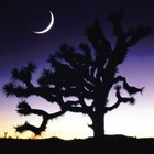 Picture for song 'Acceptance' by artist 'Effect Beats'