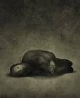 Picture for song 'Fear' by artist 'EIII'