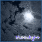 Picture for song 'Moonlight 2008' by artist 'Ermac'