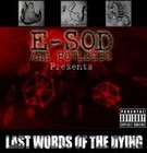 Picture for song 'E-Sod & Dan-O - Please Don't Go (Remix)' by artist 'E-sod'