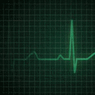 Picture for song 'We're Not' by artist 'Excellenz'