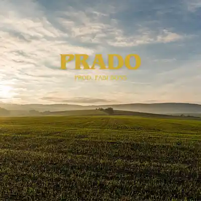 Picture for song 'PRADO - TRAP TYPE BEAT' by artist 'Fabi Boss Beats'