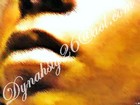 Picture for song 'I'm So Tired' by artist 'Female Rhyme'
