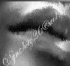 Picture for song 'What You Gone Do?' by artist 'Female Rhyme'