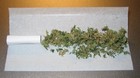 Picture for song 'Roll 1 Up' by artist 'FlatlineBeats'