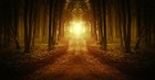 Picture for song 'Mission Jupiter' by artist 'Flying Penguin'
