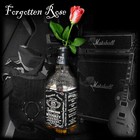 Picture for song 'Feel The Heat' by artist 'Forgotten Rose'