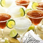 Picture for song '9. Fridge Full Of Margaritas' by artist 'Fred Snider'