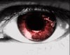 Picture for song 'Seeds Of Evil' by artist 'fruitloop'