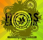 Picture for song 'DARK ANGEL aka MOWTY - Survival (Herbs Campaign)' by artist 'GaCek Killah'