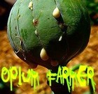 Picture for song 'Opium Farmer and the wizards sleeve' by artist 'Ghoul Detail'