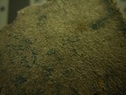 Picture for song 'Greasy Beach (V1)' by artist 'Go For Throttleup'