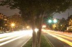 Picture for song 'Hit Da BLVD' by artist 'GreEnSpoINT'