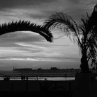 Picture for song '*NEW* Missing You' by artist 'Grindonlimit'