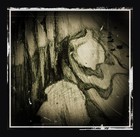Picture for song 'GRN MESSAGEBOARD, Earth Changes -2008, pt. 1' by artist 'GRN PODCASTS'