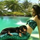 Picture for song 'In Dee Summa' by artist 'Gugu Danger Dawg'