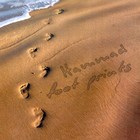 Picture for song 'Perfect Sunset' by artist 'Hammad Cheema'