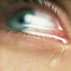 Picture for song 'Teardrops' by artist 'Hardheaded'