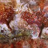 Picture for song 'Harleem - Rain On Your Lips' by artist 'Harleem'