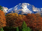 Picture for song 'Take Me Back To The Mountains' by artist 'HC Holbert songwriter'
